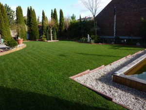 Gazon sous le soleil